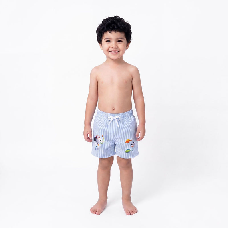 Sky Stripe Set Completo
